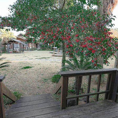 Jeju Log Village Pension Seogwipo Bagian luar foto